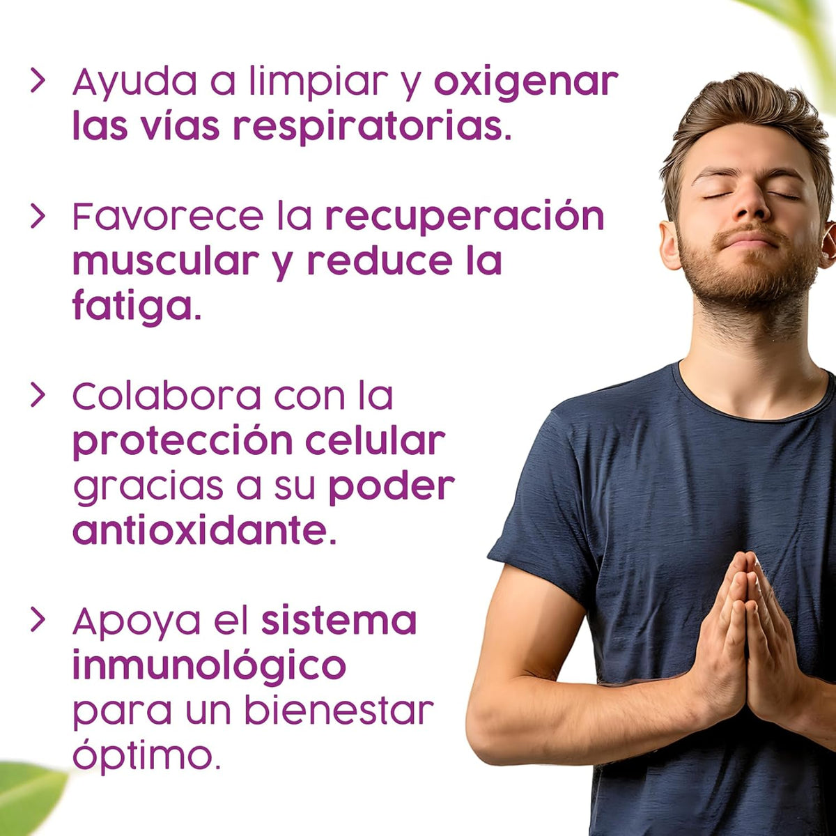 Nac Sinergy+