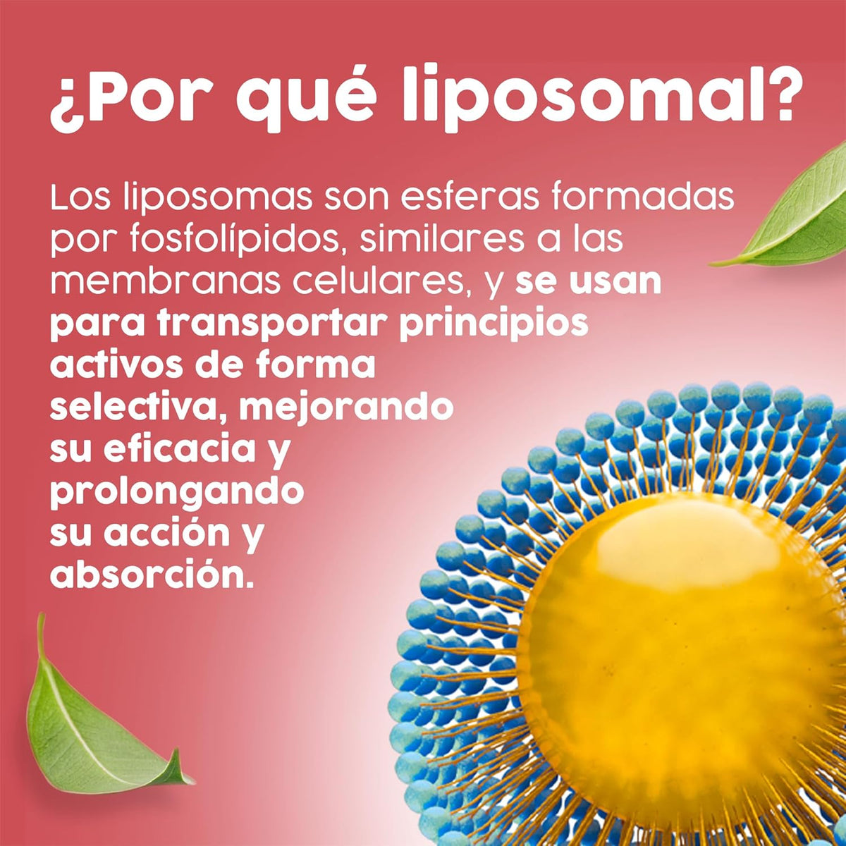 MELATONIN LIPOSOMAL 1,9