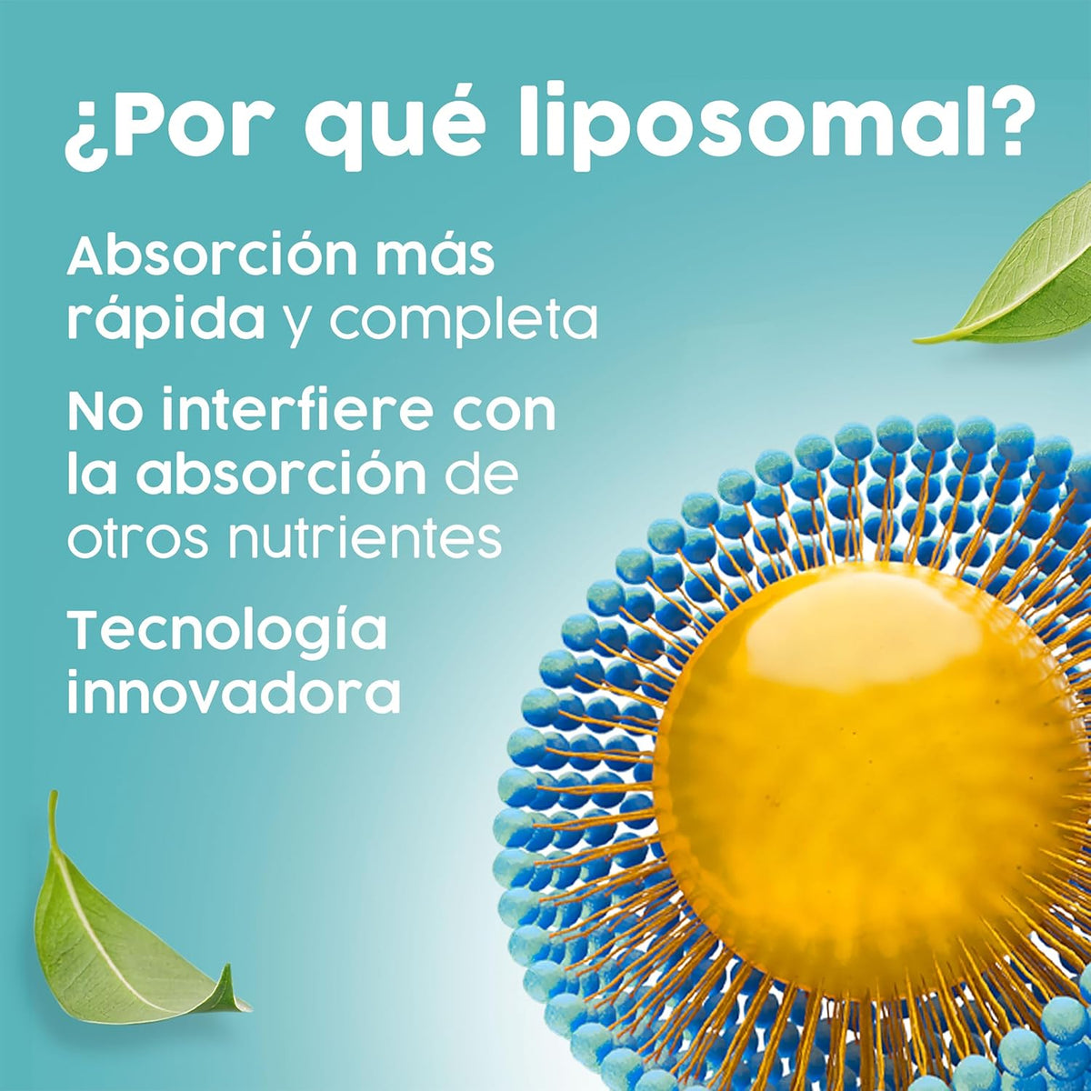 Citrato de Magnesio Liposomal + Bisglicinato de Magnesio Liposomado con Vitamina B6