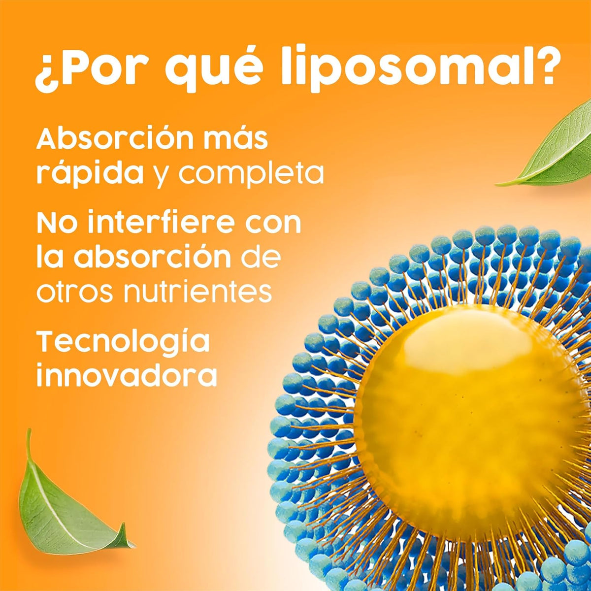 Vitamina C Liposomal