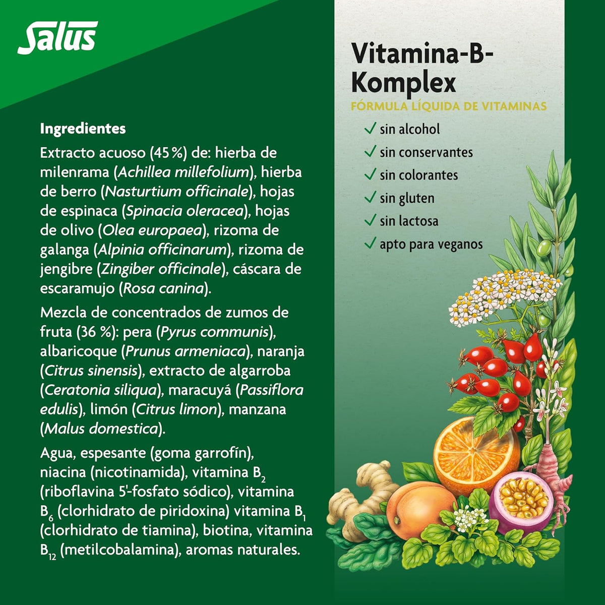 Vitamina B-Komplex