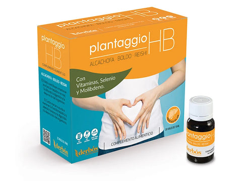 Plantaggio HB